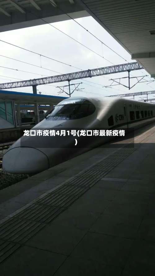 龙口市疫情4月1号(龙口市最新疫情)-第2张图片