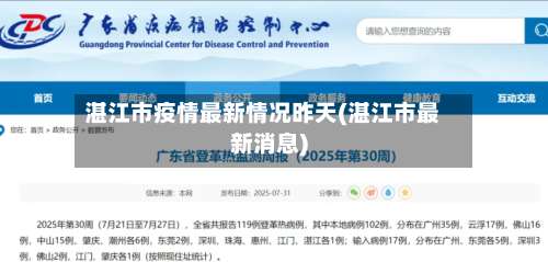 湛江市疫情最新情况昨天(湛江市最新消息)-第2张图片