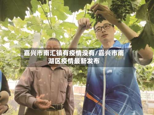 嘉兴市南汇镇有疫情没有/嘉兴市南湖区疫情最新发布-第3张图片