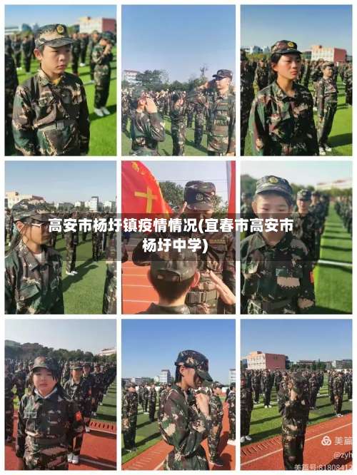 高安市杨圩镇疫情情况(宜春市高安市杨圩中学)-第2张图片