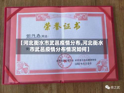 【河北衡水市武邑疫情分布,河北衡水市武邑疫情分布情况如何】
