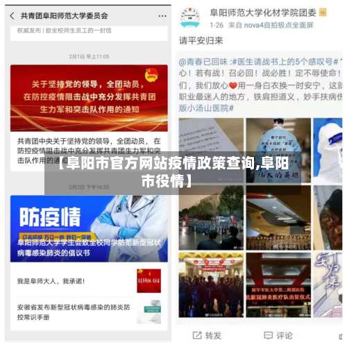 【阜阳市官方网站疫情政策查询,阜阳市役情】
