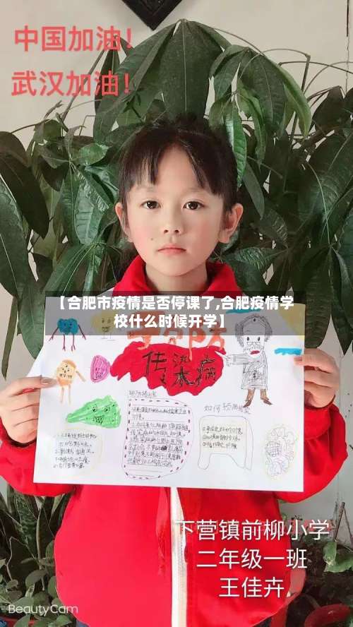 【合肥市疫情是否停课了,合肥疫情学校什么时候开学】