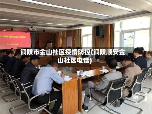 铜陵市金山社区疫情防控(铜陵顺安金山社区电话)