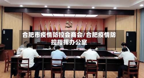 合肥市疫情防控会商会/合肥疫情防控指挥办公室-第3张图片