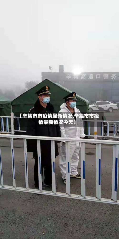 【辛集市市疫情最新情况,辛集市市疫情最新情况今天】-第2张图片