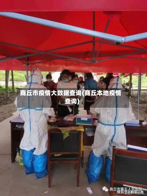 商丘市疫情大数据查询(商丘本地疫情查询)