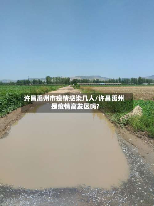 许昌禹州市疫情感染几人/许昌禹州是疫情高发区吗?-第2张图片