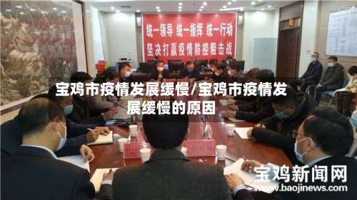 宝鸡市疫情发展缓慢/宝鸡市疫情发展缓慢的原因