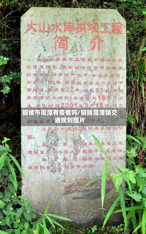 铜陵市周潭有疫情吗/铜陵周潭镇交通规划图片