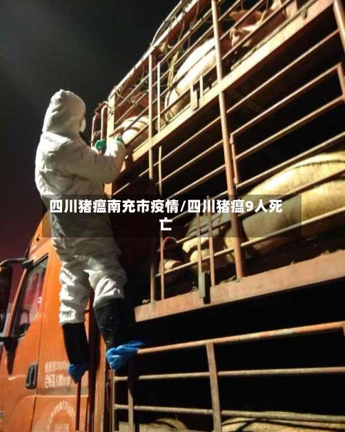 四川猪瘟南充市疫情/四川猪瘟9人死亡-第2张图片
