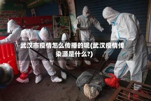 武汉市疫情怎么传播的呢(武汉疫情传染源是什么?)