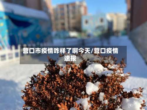 营口市疫情咋样了啊今天/营口疫情速报