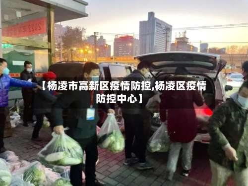 【杨凌市高新区疫情防控,杨凌区疫情防控中心】