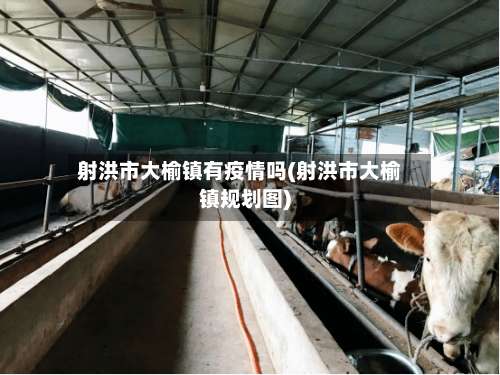 射洪市大榆镇有疫情吗(射洪市大榆镇规划图)