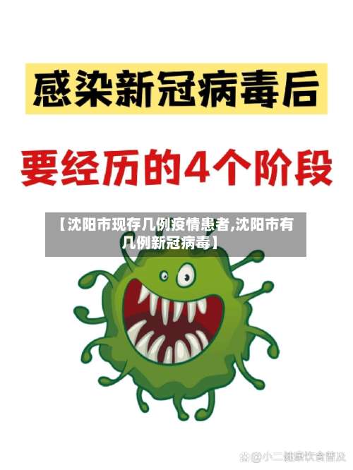 【沈阳市现存几例疫情患者,沈阳市有几例新冠病毒】