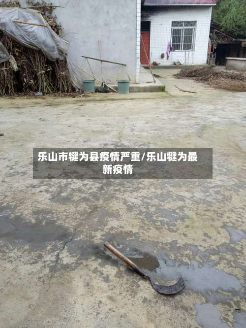 乐山市犍为县疫情严重/乐山犍为最新疫情