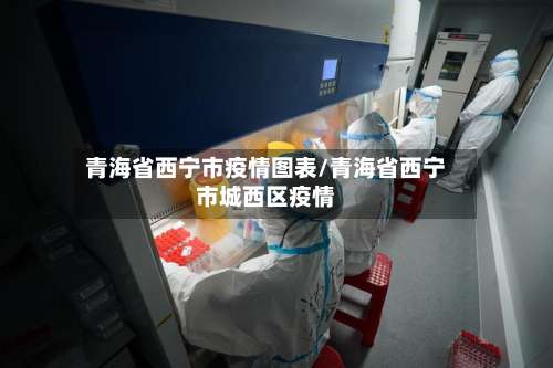青海省西宁市疫情图表/青海省西宁市城西区疫情