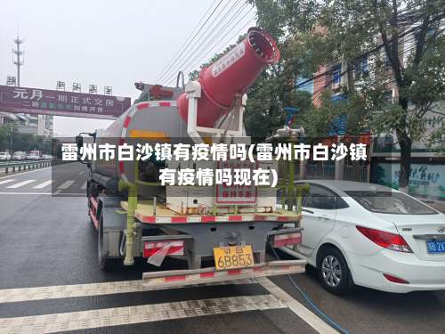 雷州市白沙镇有疫情吗(雷州市白沙镇有疫情吗现在)-第2张图片
