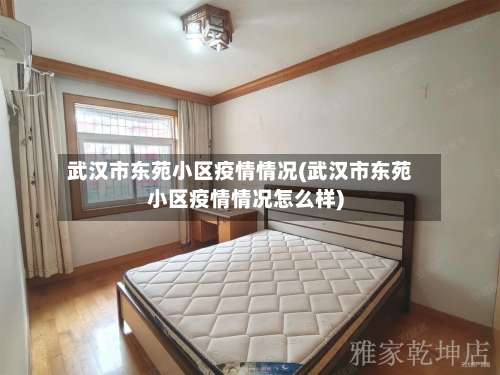 武汉市东苑小区疫情情况(武汉市东苑小区疫情情况怎么样)
