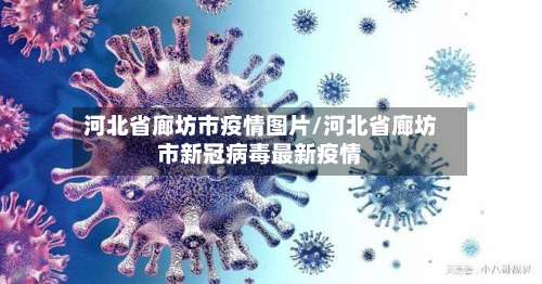 河北省廊坊市疫情图片/河北省廊坊市新冠病毒最新疫情