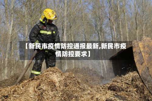 【新民市疫情防控通报最新,新民市疫情防控要求】-第2张图片