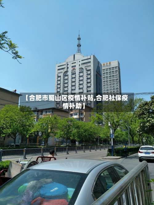 【合肥市蜀山区疫情补贴,合肥社保疫情补助】