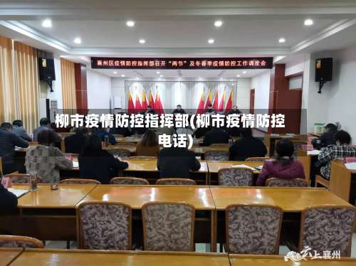 柳市疫情防控指挥部(柳市疫情防控电话)-第3张图片