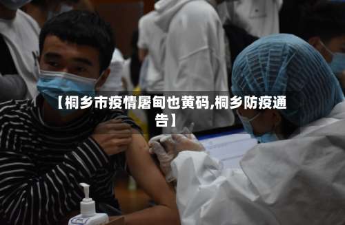 【桐乡市疫情屠甸也黄码,桐乡防疫通告】-第2张图片