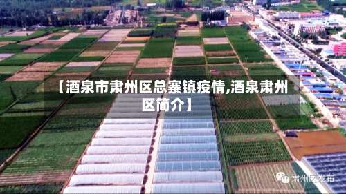 【酒泉市肃州区总寨镇疫情,酒泉肃州区简介】-第3张图片