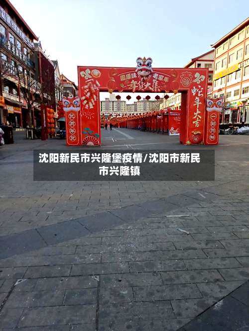 沈阳新民市兴隆堡疫情/沈阳市新民市兴隆镇