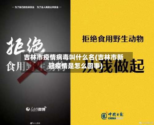 吉林市疫情病毒叫什么名(吉林市新冠疫情是怎么回事)