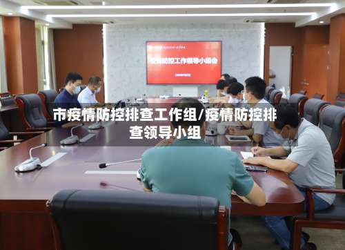 市疫情防控排查工作组/疫情防控排查领导小组