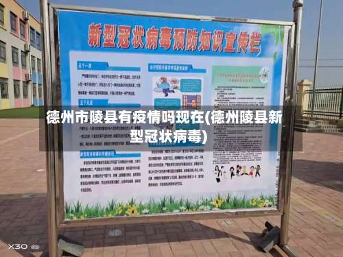 德州市陵县有疫情吗现在(德州陵县新型冠状病毒)