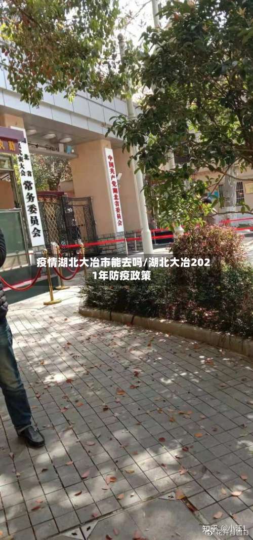 疫情湖北大冶市能去吗/湖北大冶2021年防疫政策-第2张图片