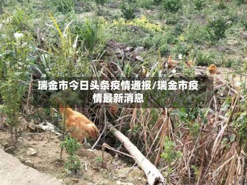 瑞金市今日头条疫情通报/瑞金市疫情最新消息