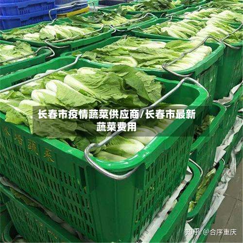 长春市疫情蔬菜供应商/长春市最新蔬菜费用