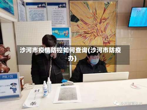 沙河市疫情防控如何查询(沙河市防疫办)