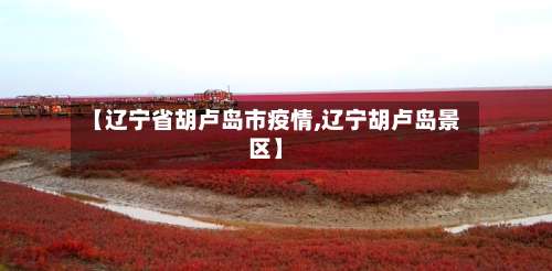 【辽宁省胡卢岛市疫情,辽宁胡卢岛景区】-第2张图片