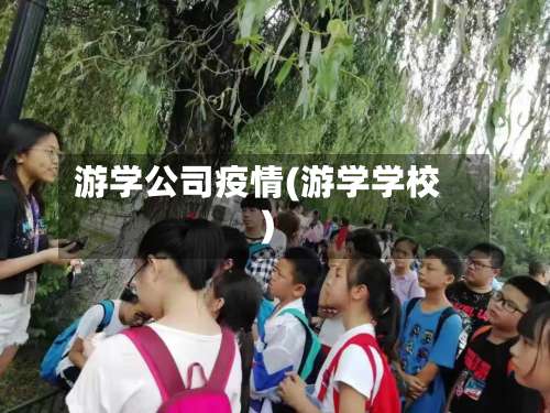 游学公司疫情(游学学校)-第2张图片