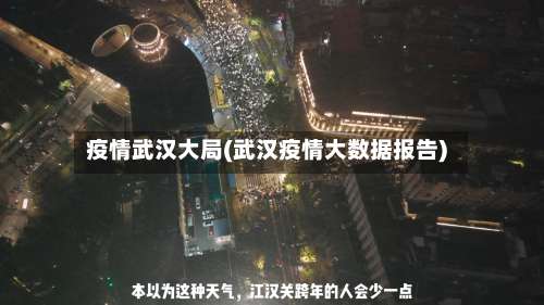 疫情武汉大局(武汉疫情大数据报告)