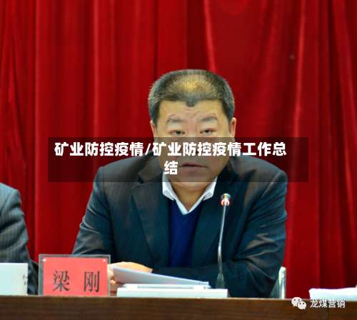 矿业防控疫情/矿业防控疫情工作总结
