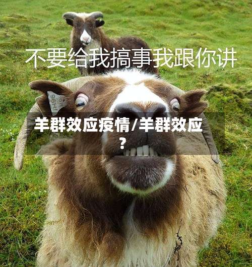 羊群效应疫情/羊群效应?