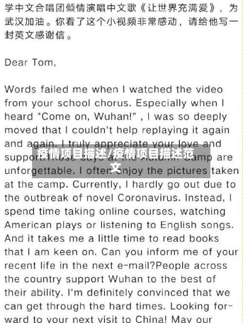 疫情项目描述/疫情项目描述范文-第2张图片