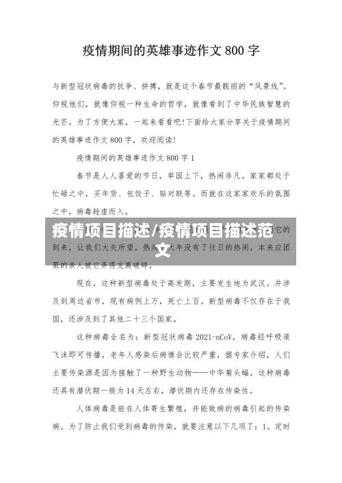 疫情项目描述/疫情项目描述范文