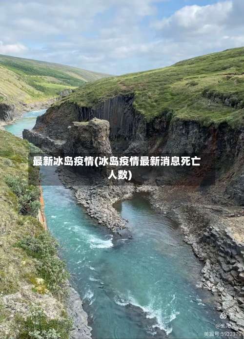 最新冰岛疫情(冰岛疫情最新消息死亡人数)