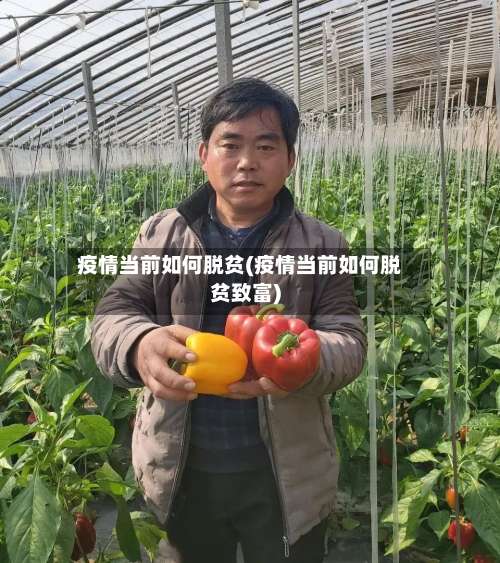 疫情当前如何脱贫(疫情当前如何脱贫致富)-第3张图片