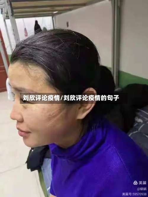 刘欣评论疫情/刘欣评论疫情的句子-第2张图片