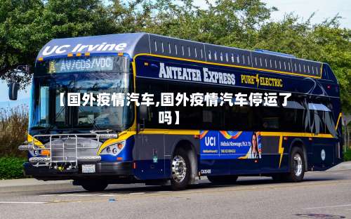 【国外疫情汽车,国外疫情汽车停运了吗】-第3张图片