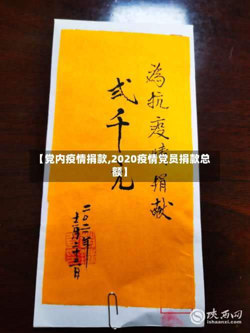 【党内疫情捐款,2020疫情党员捐款总额】